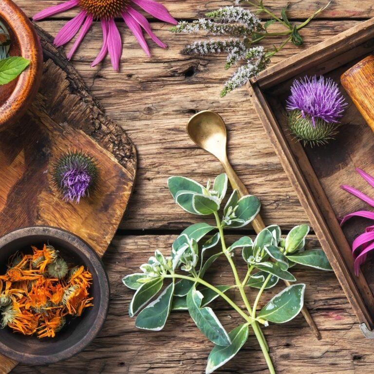 Herbs To Strengthen & Support